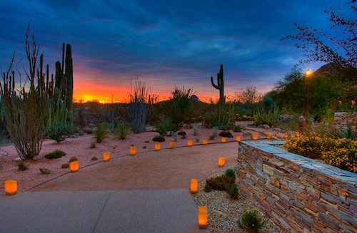  luminarias desert botanical garden