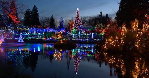 holiday happenings; zoolights at phoenix zoo