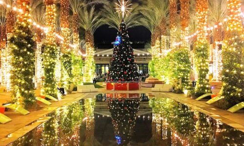 holiday happenings; christmas tree high street scottsdale