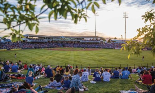 cactus league spring training